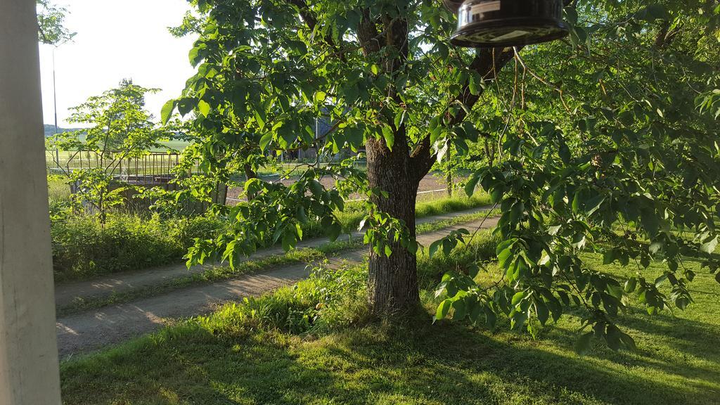 Marbys Gaestrum Luaran gambar